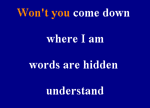 W'on't you come down

Where I am

words are hidden

understand