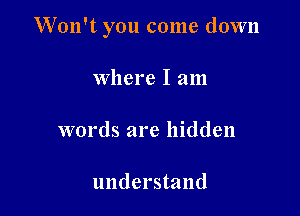 W'on't you come down

Where I am

words are hidden

understand