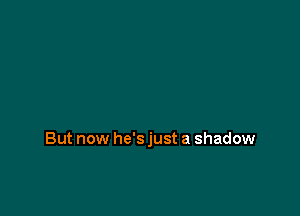 But now he's just a shadow