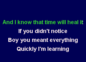 And I know that time will heal it

If you didn't notice
Boy you meant everything
Quickly I'm learning