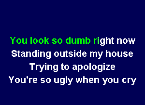 You look so dumb right now

Standing outside my house
Trying to apologize
You're so ugly when you cry
