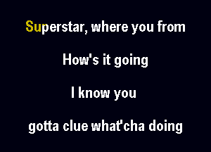 Superstar, where you from

How's it going
I know you

gotta clue what'cha doing