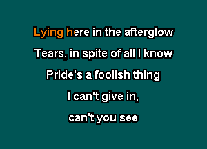 Lying here in the afterglow

Tears, in spite of all I know

Pride's a foolish thing

I can't give in,

can't you see