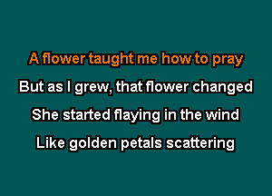 A flower taught me how to pray
But as I grew, that flower changed
She started flaying in the wind

Like golden petals scattering