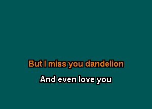 But I miss you dandelion

And even love you