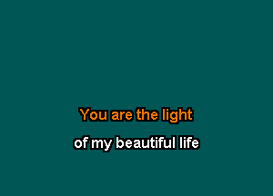 You are the light

of my beautiful life