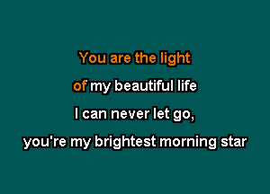 You are the light
of my beautiful life

I can never let go,

you're my brightest morning star