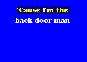 'Cause I'm the

back door man