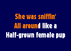 She was sniffin'

All around like a
Half-grown female pup