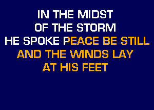 IN THE MIDST
OF THE STORM
HE SPOKE PEACE BE STILL
AND THE WINDS LAY
AT HIS FEET