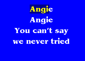 Angie

Angie

You can't say
we never tried