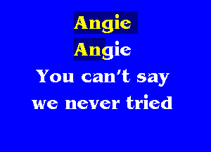 Angie

Angie

You can't say
we never tried