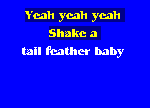Yeah yeah yeah
Shake a
tail feather baby