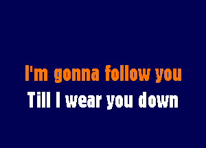 I'm gonna follow you
Till I wear you down