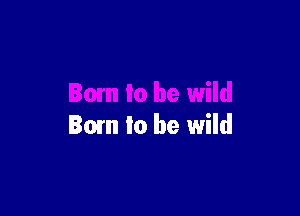 Bum to be wild