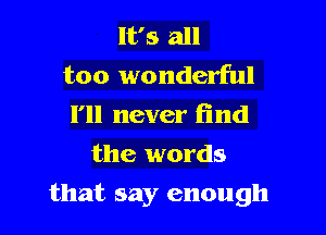 It's all
too wonderful
I'll never find

the words

that say enough