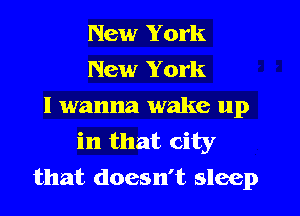 New York
New York
I wanna wake up
in that city
that doesn't sleep