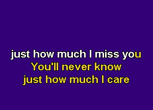just how much I miss you

You'll never know
just how much I care