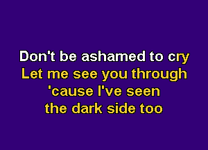 Don't be ashamed to cry
Let me see you through

'cause I've seen
the dark side too