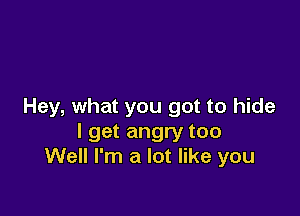 Hey, what you got to hide

I get angry too
Well I'm a lot like you