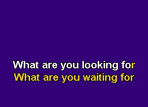 What are you looking for
What are you waiting for