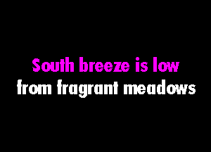 South breeze is low

from fragrant meadows