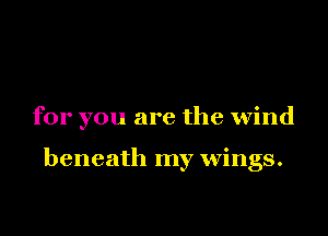 for you are the wind

beneath my wings.