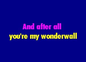 you're my wonderwull