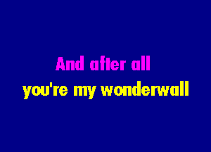 you're my wonderwull