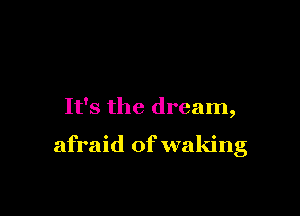 It's the dream,

afraid of waking