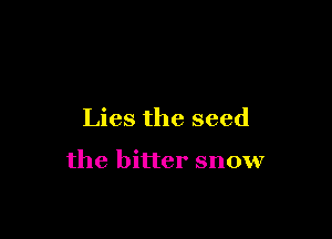 Lies the seed

the bitter snow