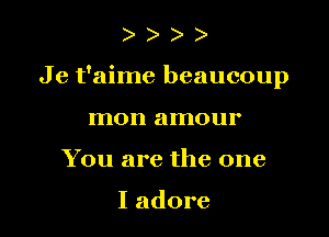 )

Je t'aime beaucoup

mon amour
You are the one

I adore