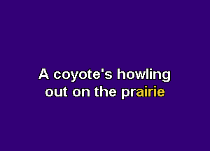 A coyote's howling

out on the prairie