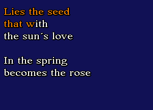 Lies the seed
that with
the sun's love

In the spring
becomes the rose