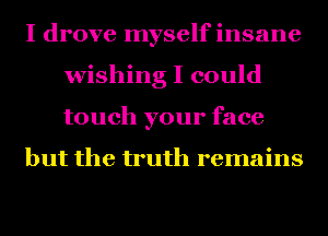 I drove myself insane
wishing I could
touch your face

but the truth remains