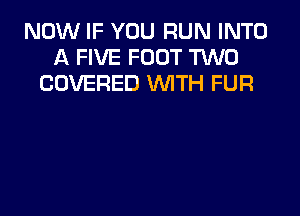 NOW IF YOU RUN INTO
A FIVE FOOT TWO
COVERED WTH FUR