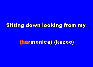 Sitting down looking from my

(harmonica) (kazoo)