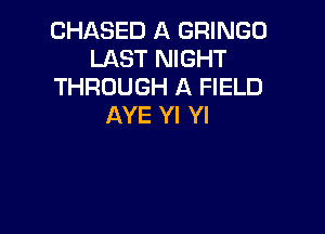 CHASED A GRINGO
LAST NIGHT
THROUGH A FIELD
AYE Yl Yl