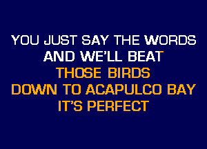 YOU .JUST SAY THE WORDS
AND WE'LL BEAT
THOSE BIRDS
DOWN TO ACAPULCO BAY
IT'S PERFECT