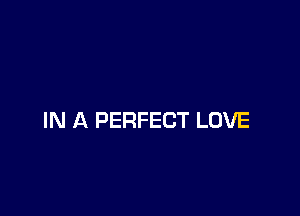 IN A PERFECT LOVE