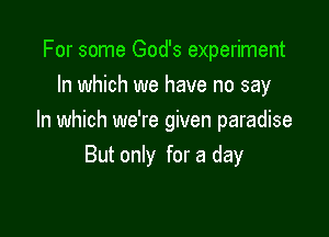 For some God's experiment
In which we have no say

In which we're given paradise
But only for a day