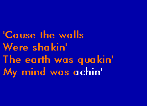 'Ca use the we 3

Were sha kin'

The earth was qua kin'
My mind was achin'