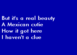 But ifs a real beouiy
A Mexican cutie

How it got here
I haven't a clue