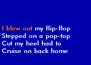 I blew out my flip-Hop

Stepped on a pop-fop
Cut my heel had to
Cruise on back home