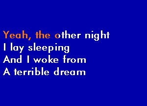 Yeah, the oiher night
I lay sleeping

And I woke from
A terrible dream