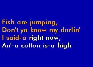 Fish ore jumping,
Don't ya know my darlin'

I said-a right now,
An'-a coifon is-o high