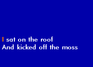 I sat on the roof

And kicked off the moss