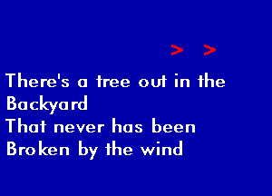 There's a tree out in the

Backya rd

Thai never has been

Broken by the wind