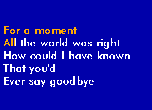 For a moment
All the world was right

How could I have known
That you'd
Ever say good bye