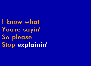 I know what
You're sayin'

So please
Stop explainin'